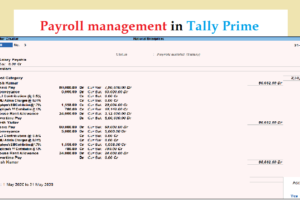 payroll in tally prime in hindi