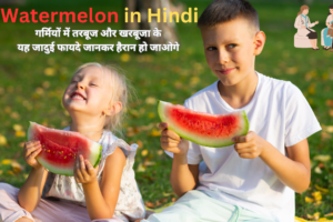 watermelon in hindi