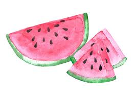 watermelon drawing