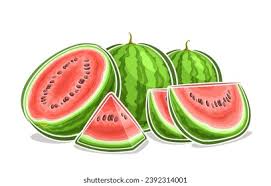 watermelon drawing images